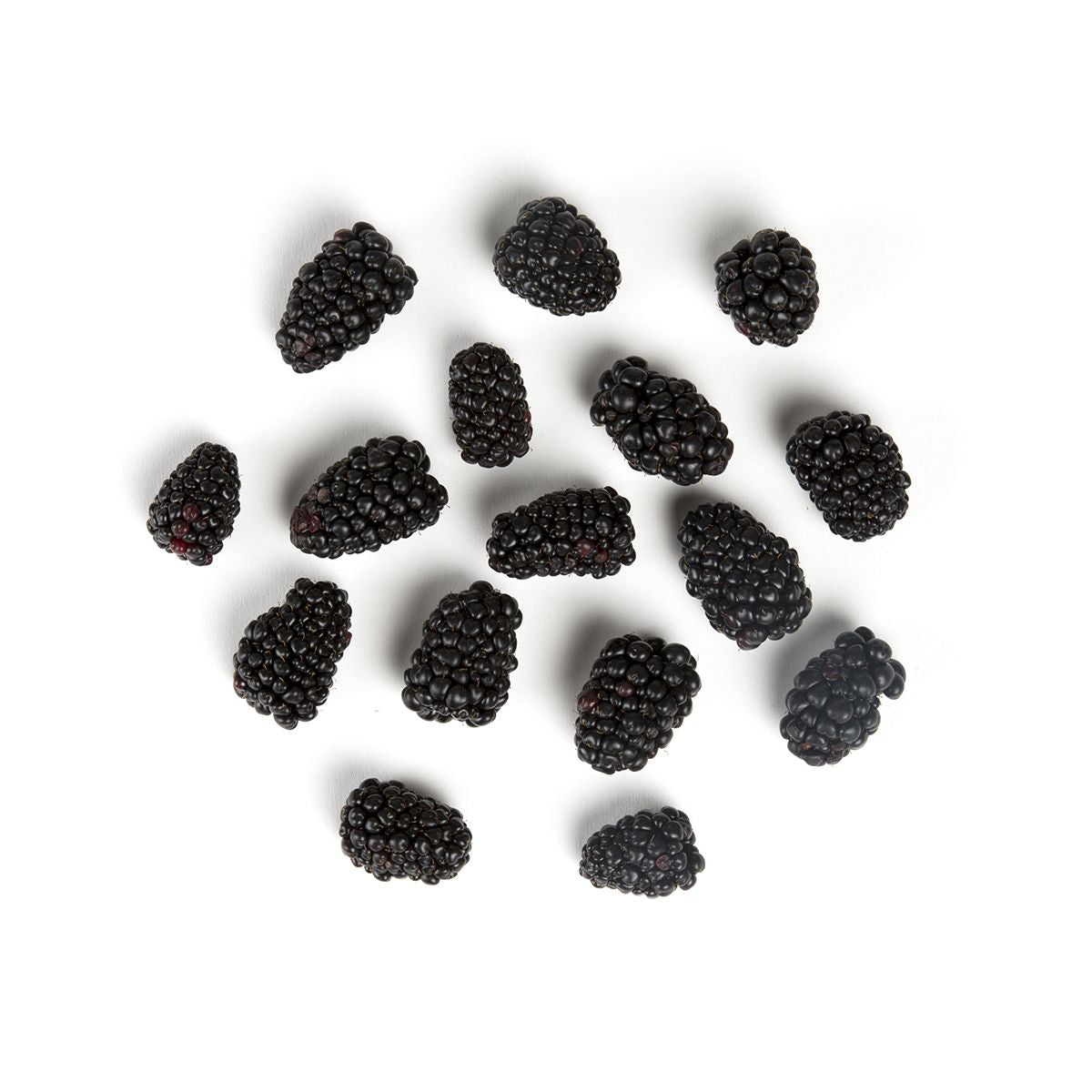 Local Blackberries