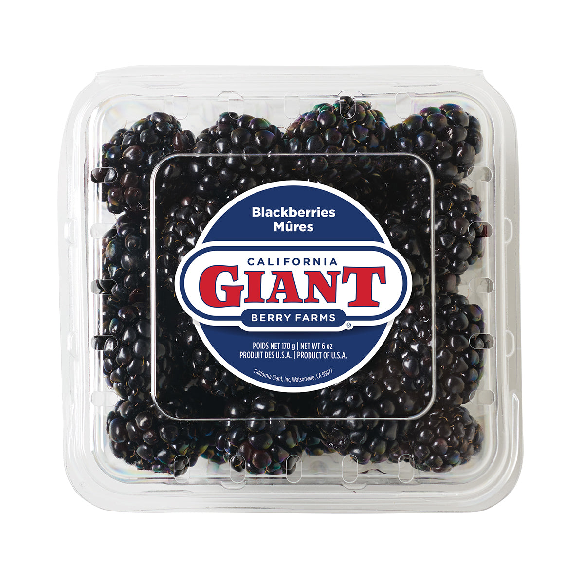 Blackberries