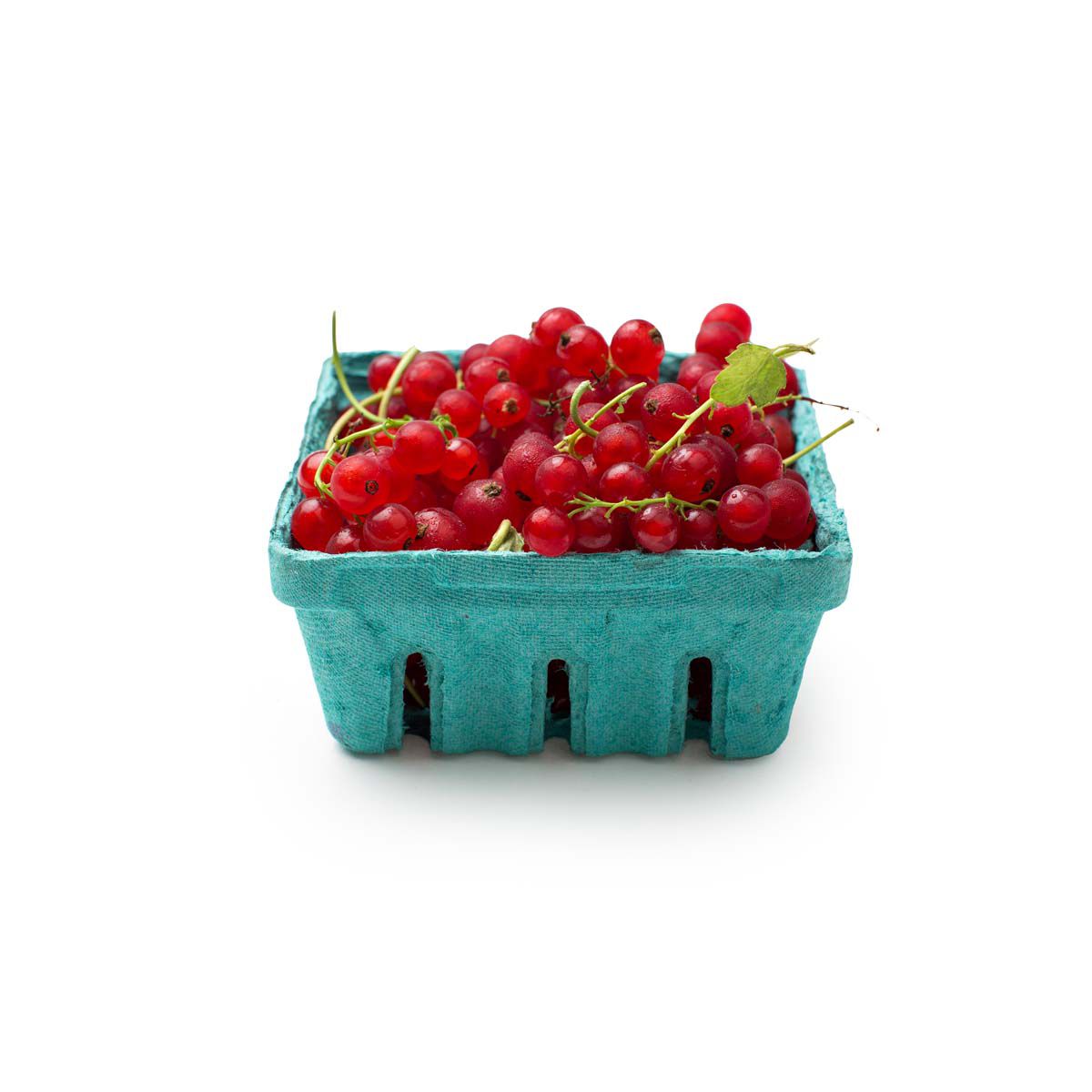 Local Red Currants