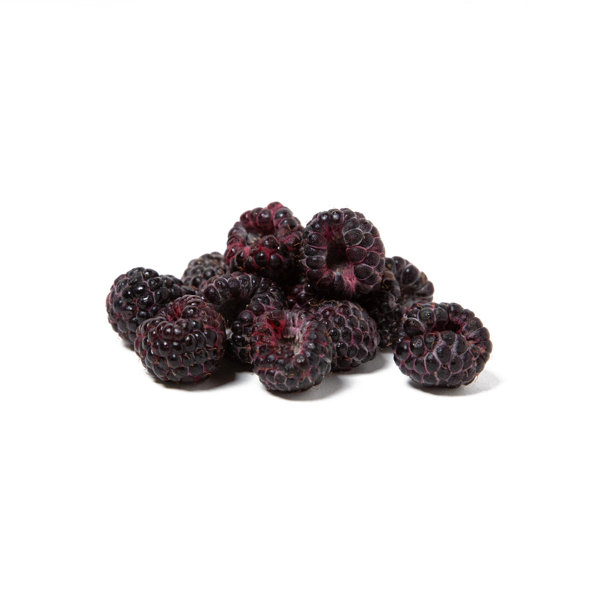 Black Raspberries