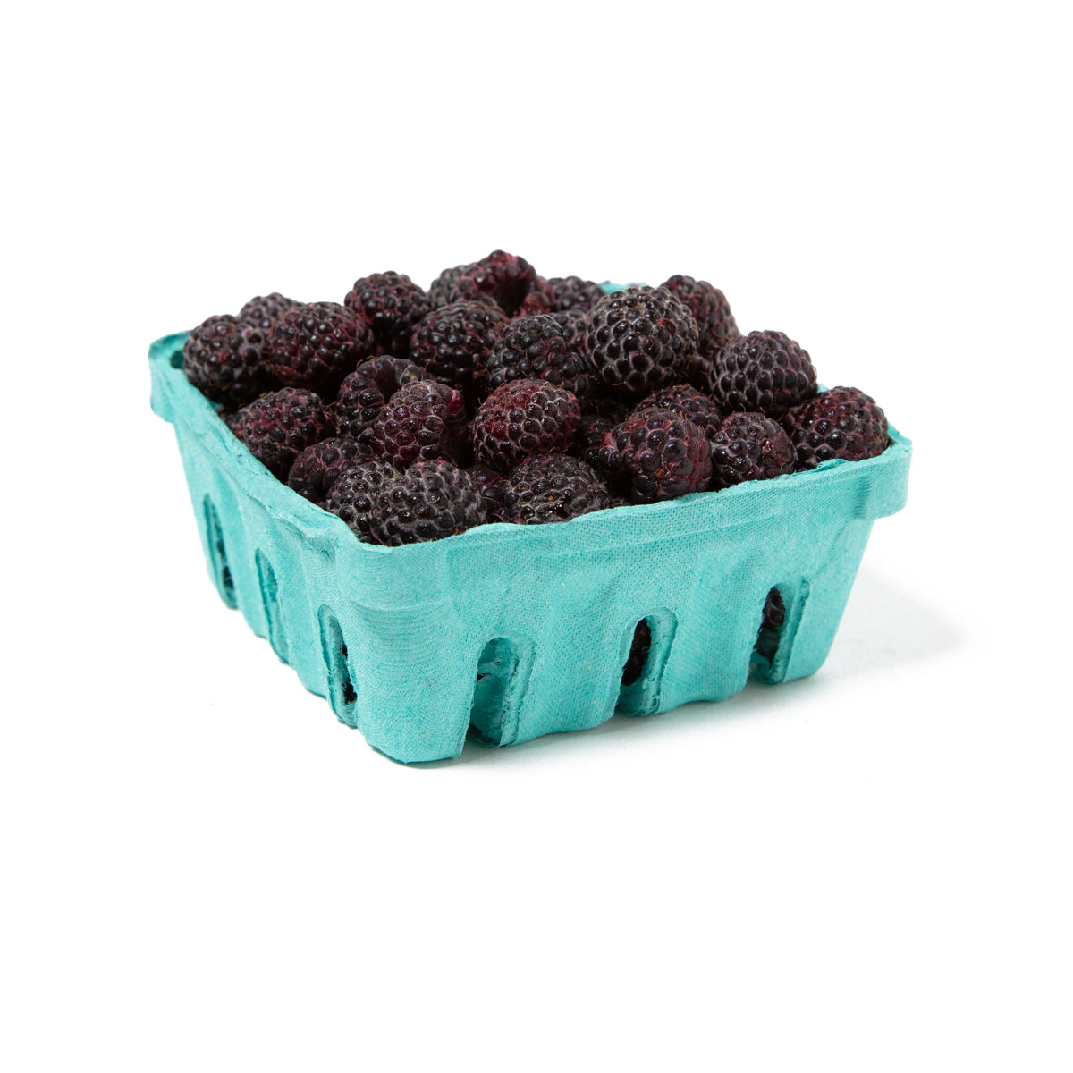 Black Raspberries