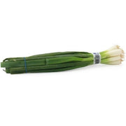 Iceless Scallions
