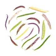 Bean Medley