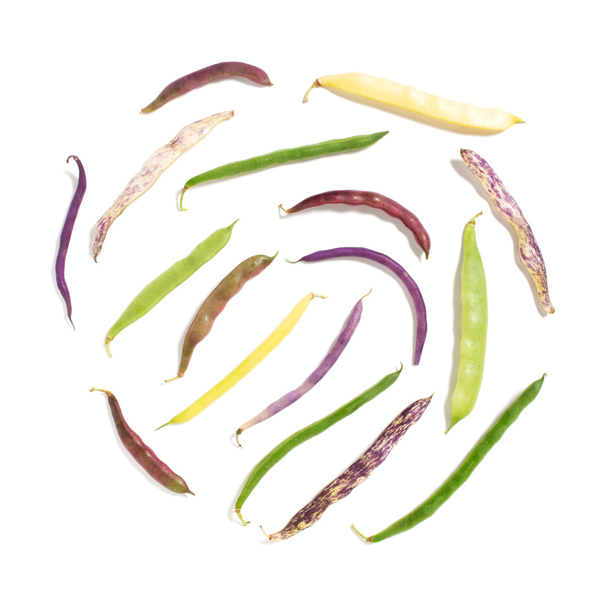 Bean Medley