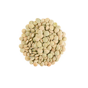 Green Lentils