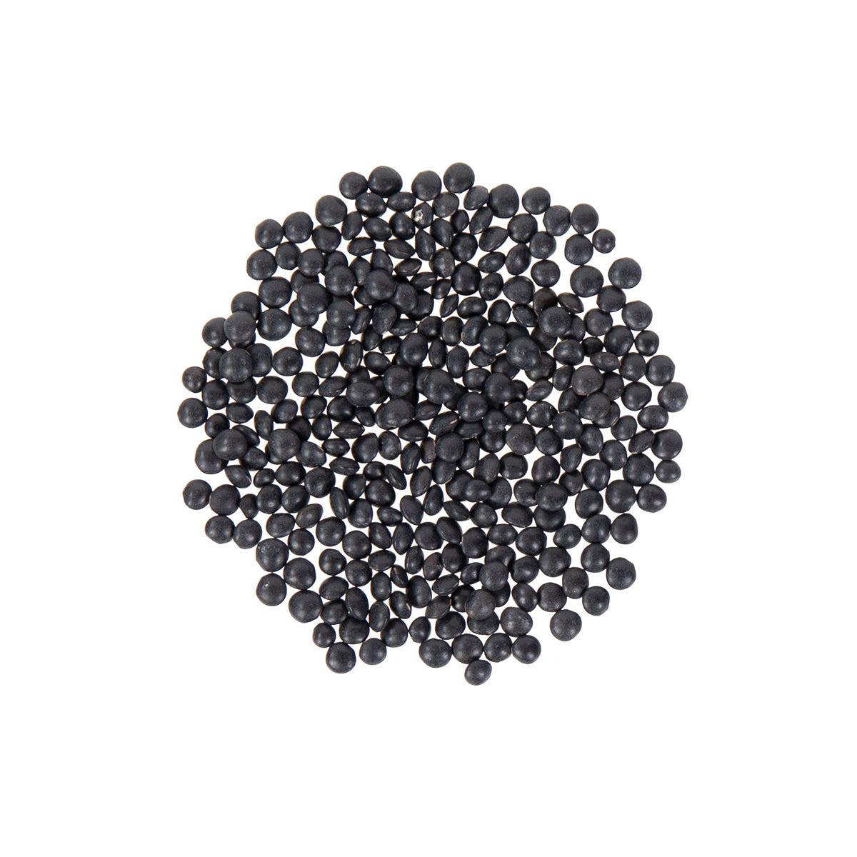 Black Beluga Lentils