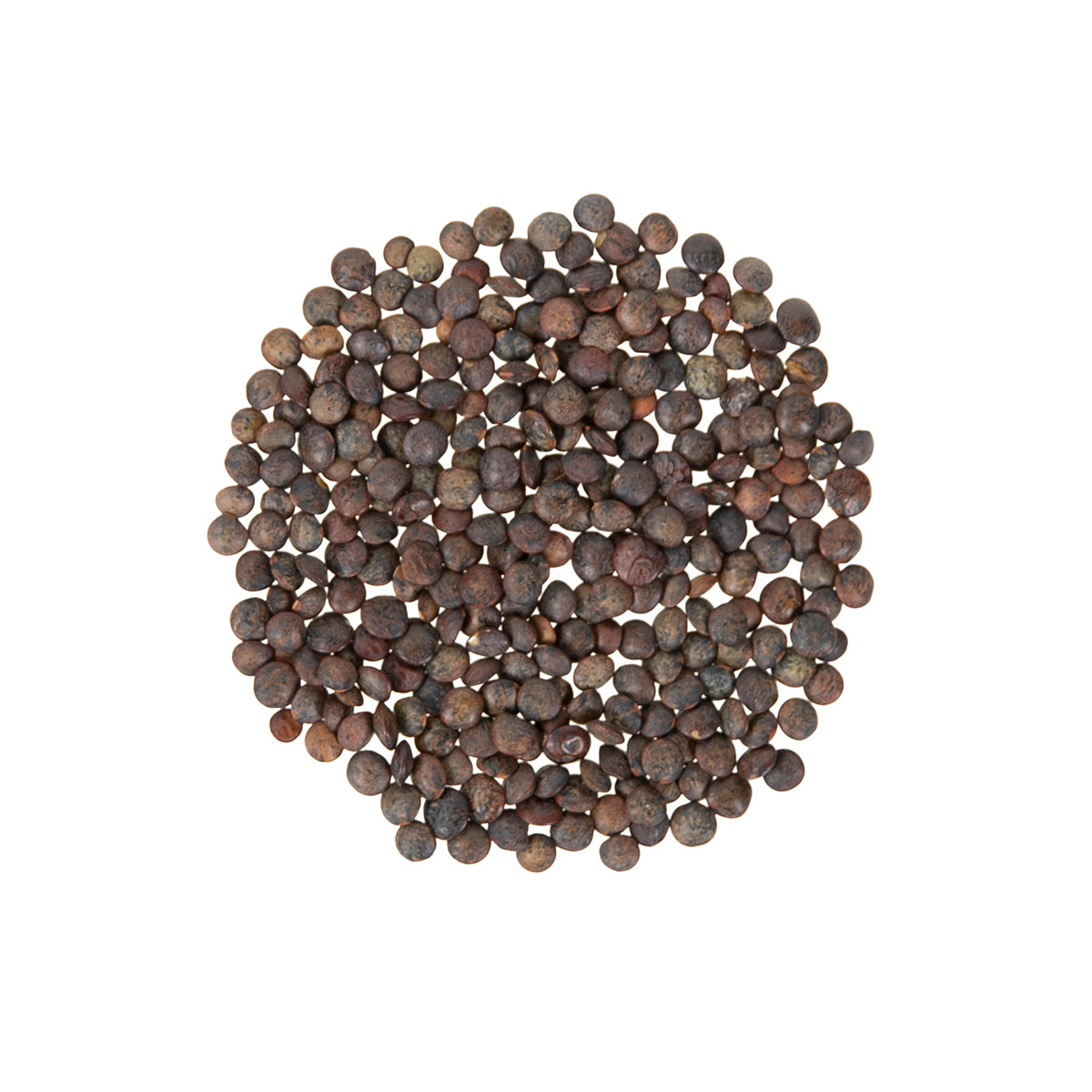 Du Puy French Green Lentils