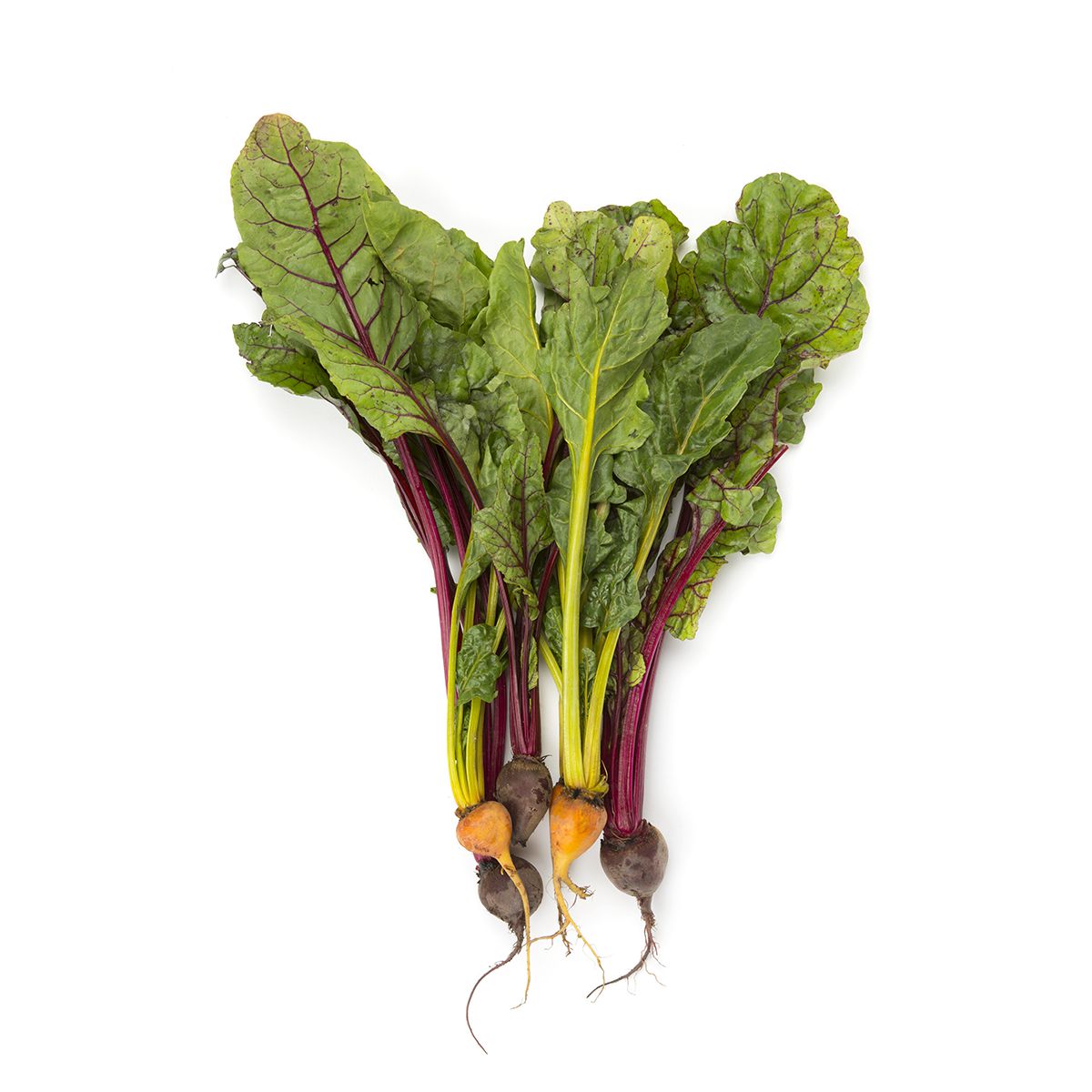 Mixed Color Baby Beets