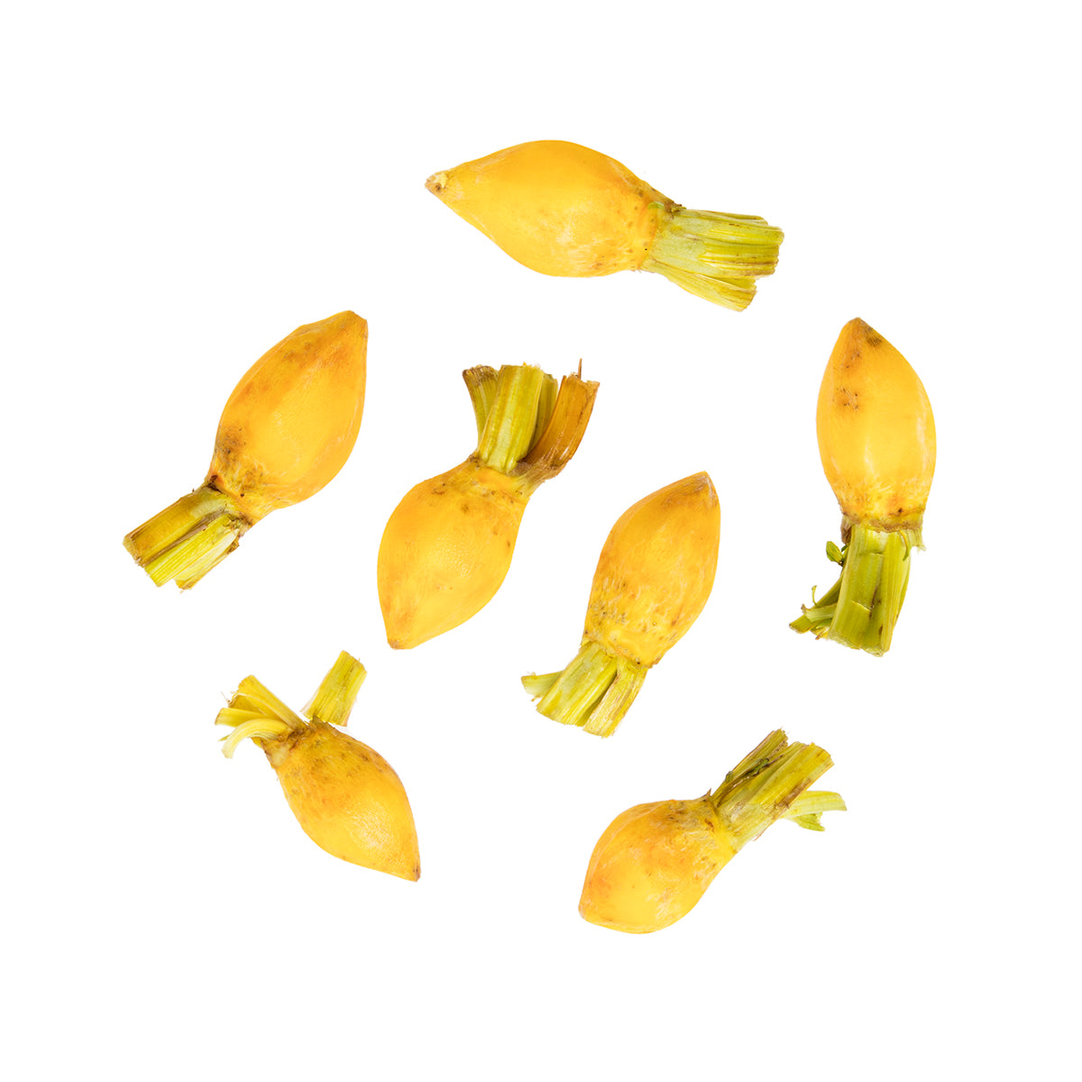 Peeled Baby Gold Beets