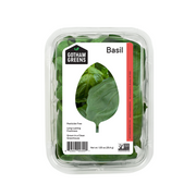 Basil