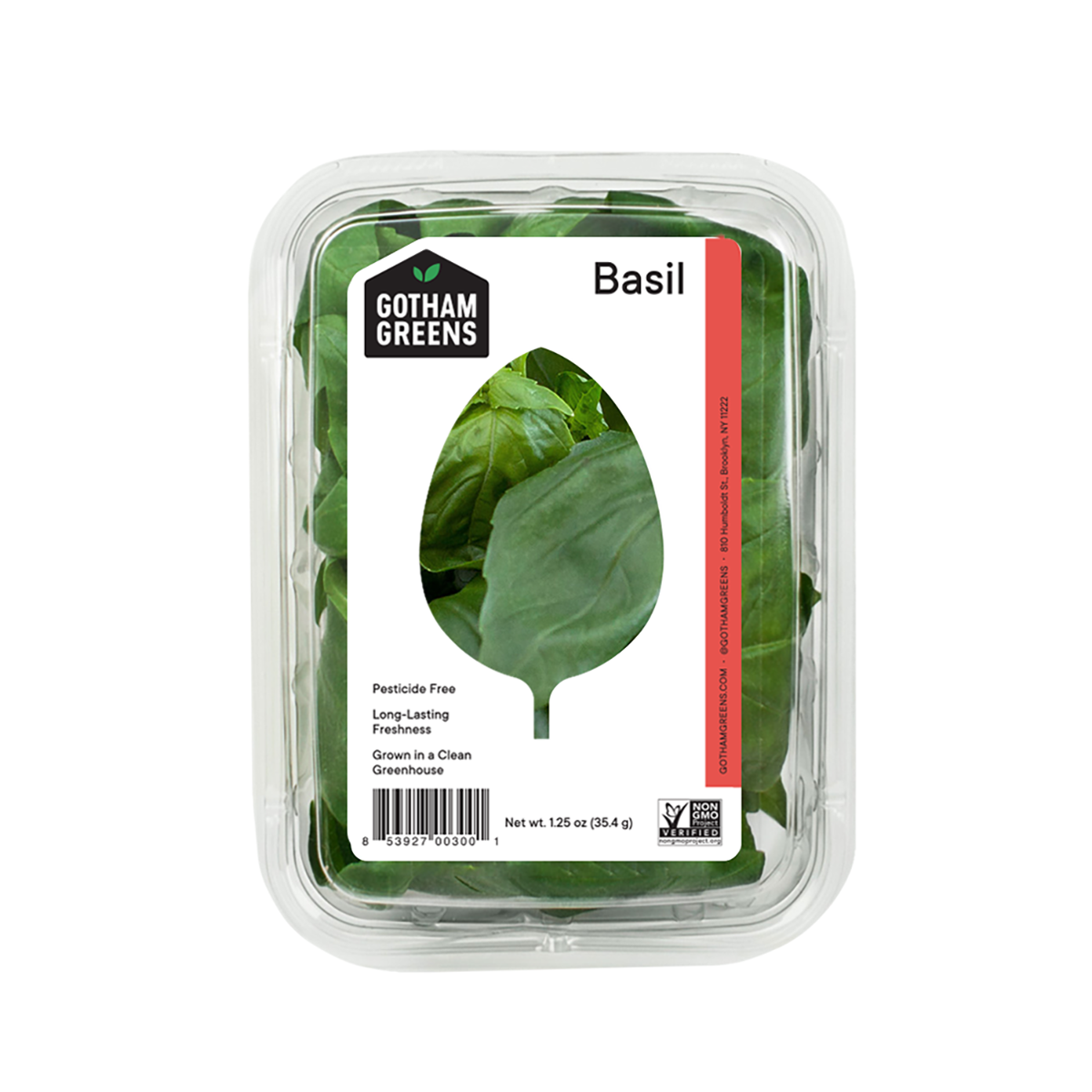 Basil