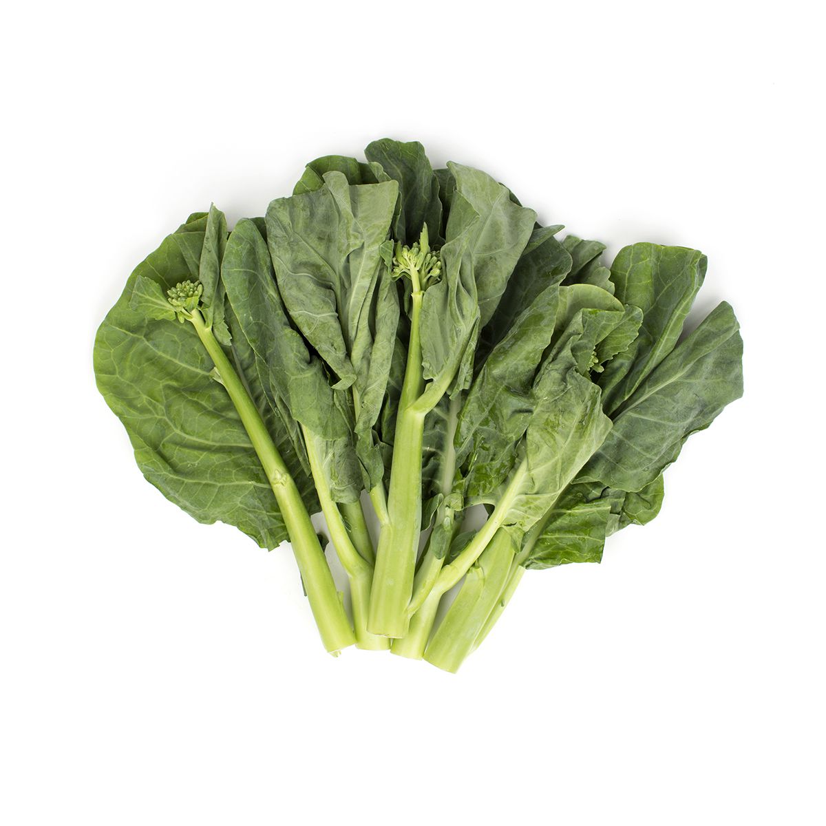 Chinese Broccoli / Gai Lon