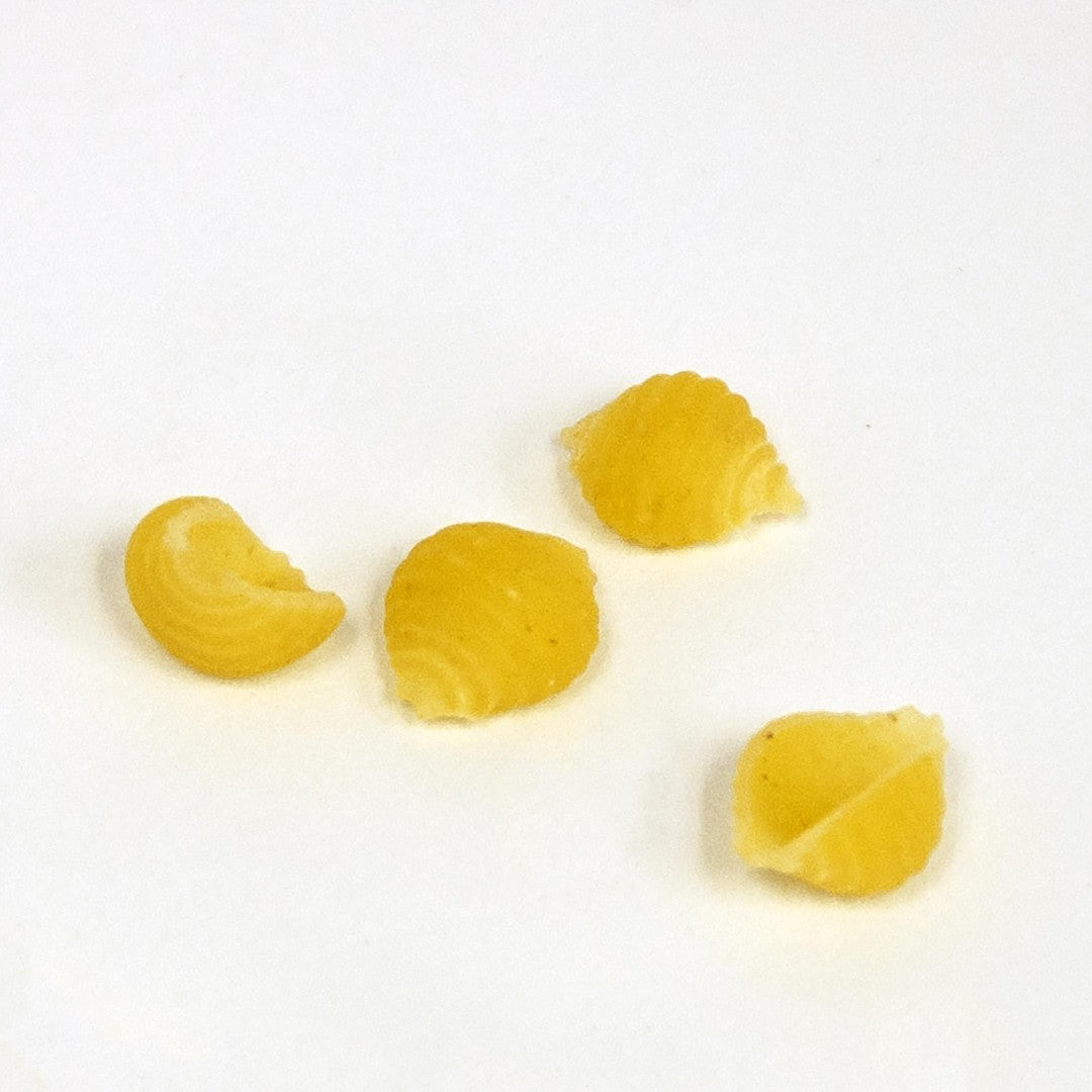 Small Pasta Shells