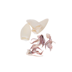 4-6IN Squid Tubes and Tentacles
