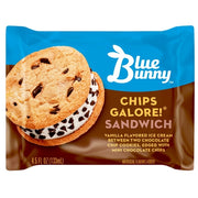 Chocolate Chip Ice Cream Sandwich