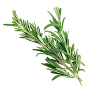 Rosemary
