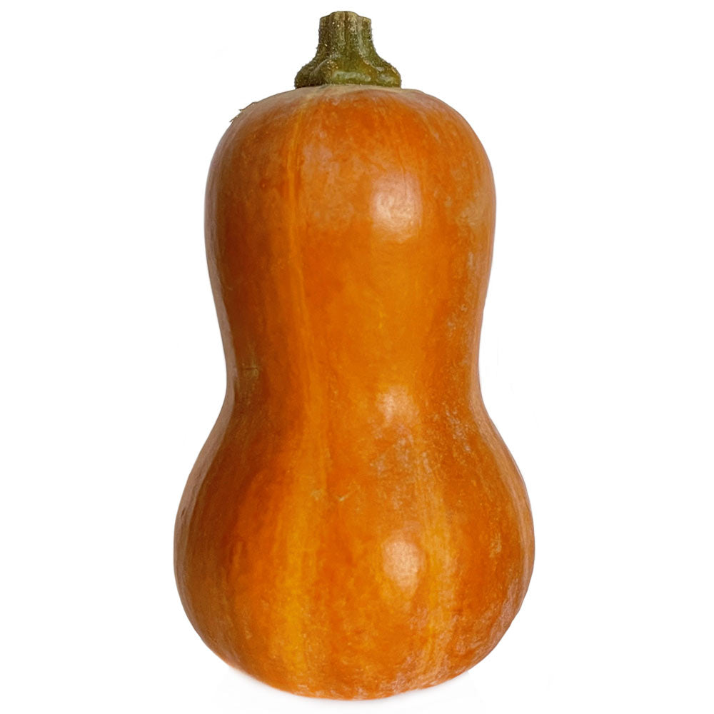 Honeynut squash