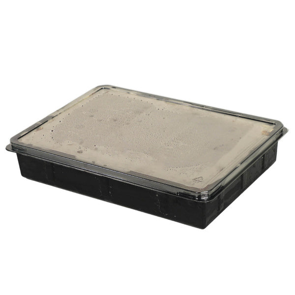 Tiramisu Trays