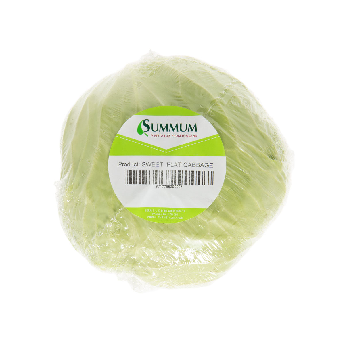 Flat Cabbage