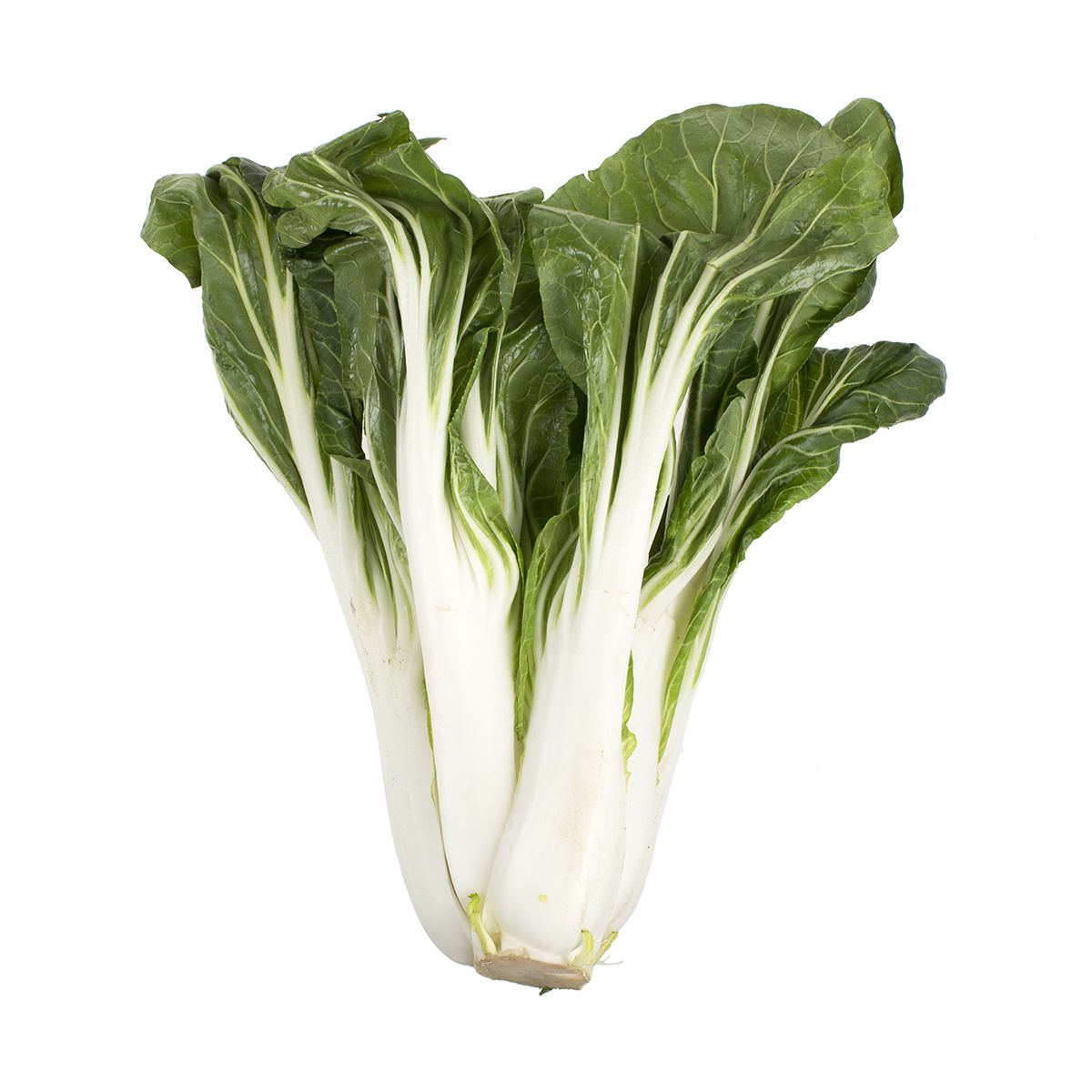 Bok Choy