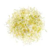 Thinly Shredded Green Cabbage