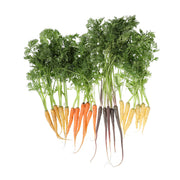 Mixed Color Baby Carrots