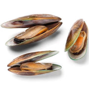 New Zealand Green Lip Mussel