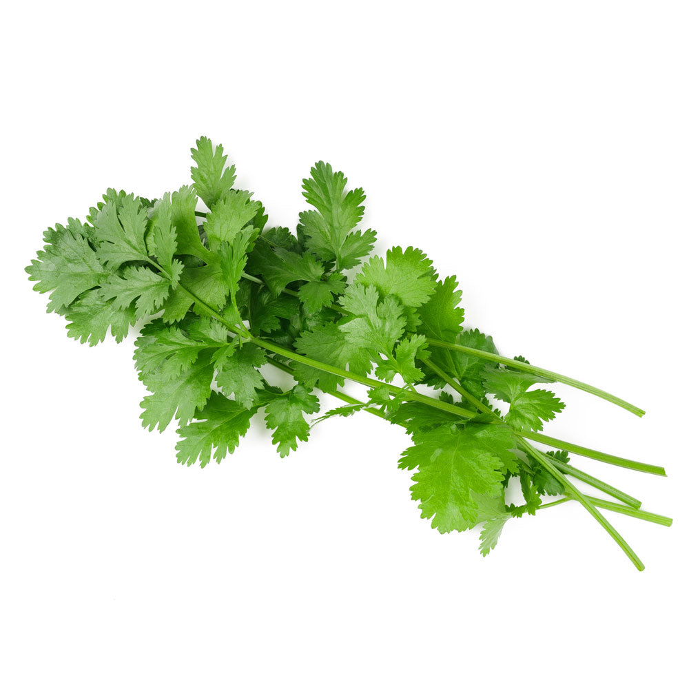 Cut & Clean Cilantro