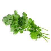 Cut & Clean Cilantro