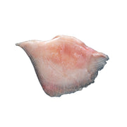 Fresh Skate Fillet