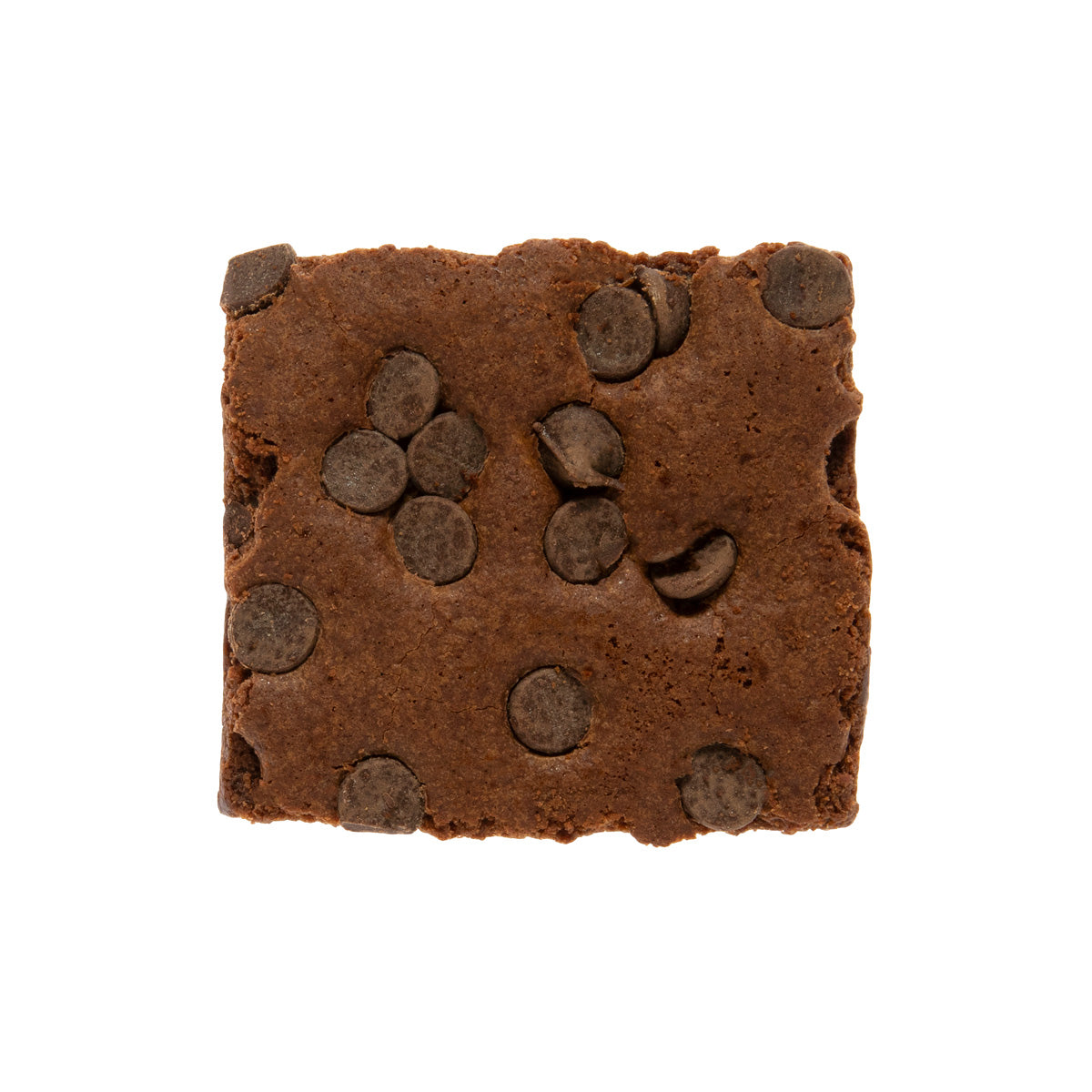 Gluten Free Chocolate Chip Brownie