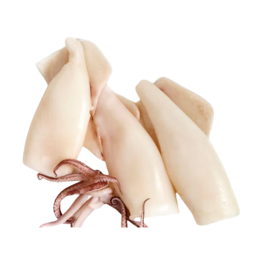 Calamari Tubes & Tentacles Loligo
