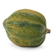 Acorn Squash