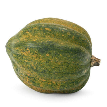 Acorn Squash