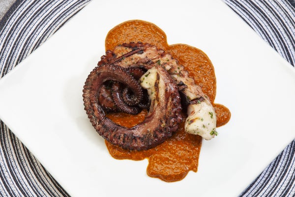 Spanish-Style Cooked Octopus Tentacles Frozen