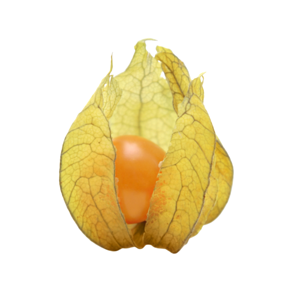 Caped Gooseberries