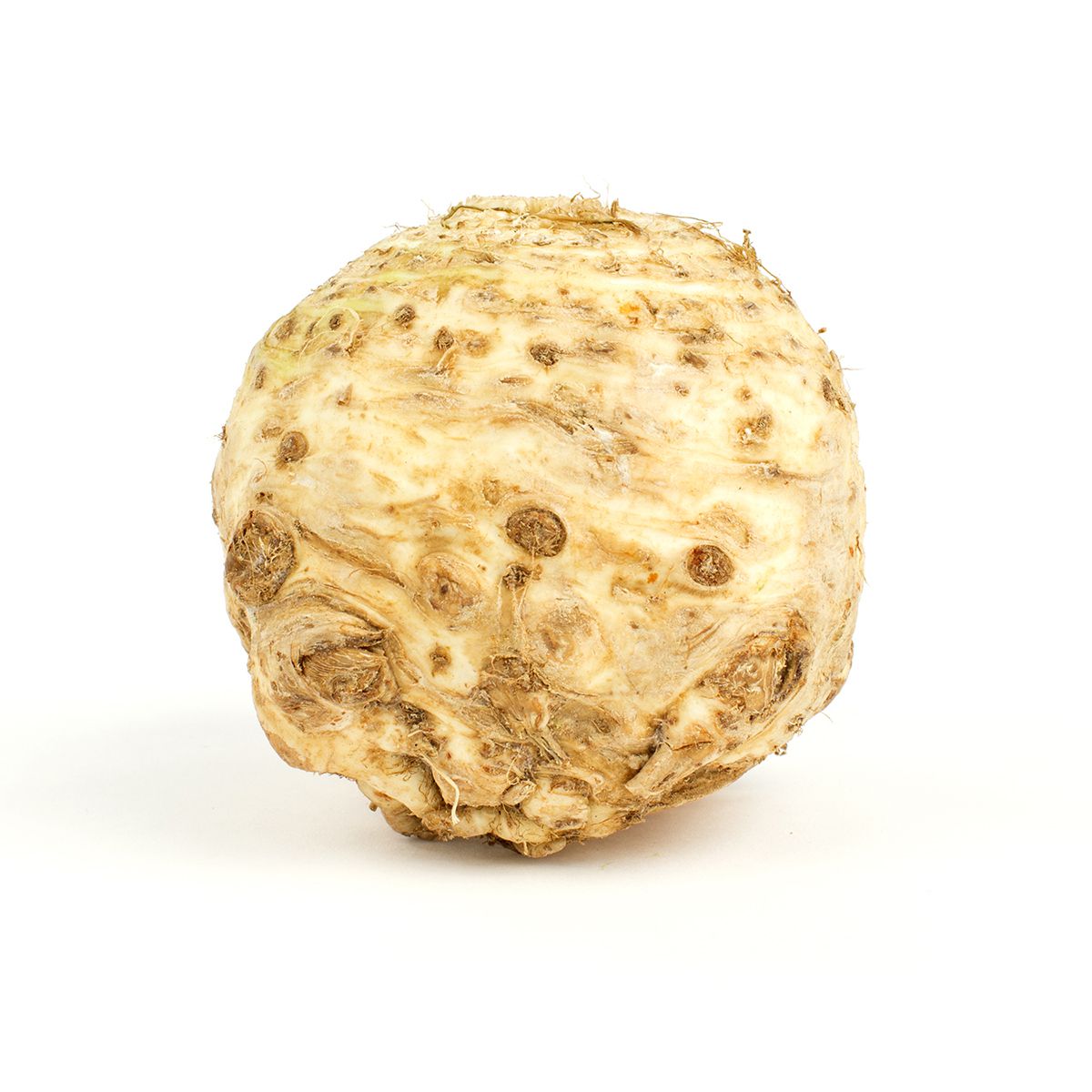 Celery Root