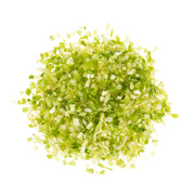 1/4in Chopped Celery