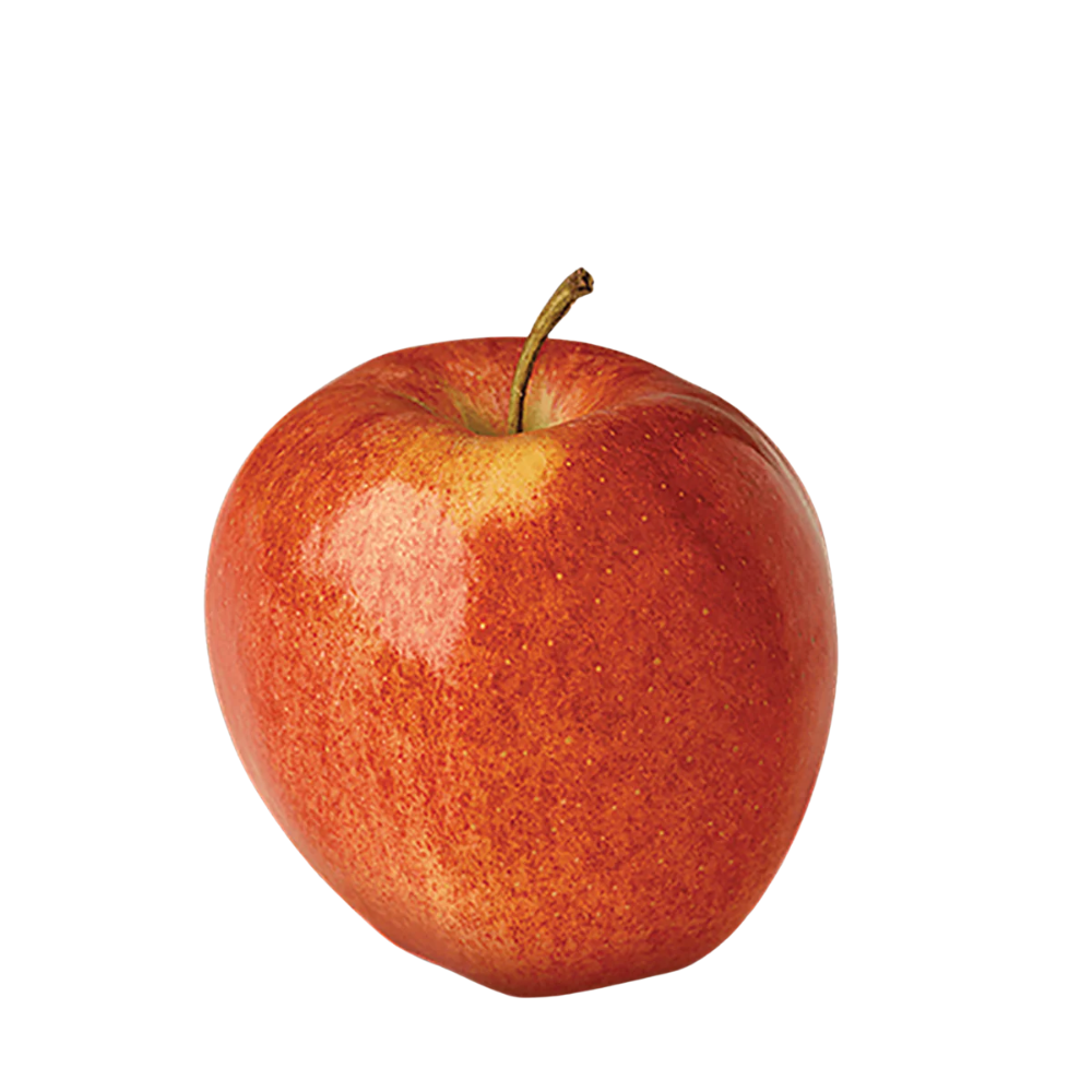 Gala Apple