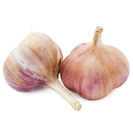 Colossal Garlic