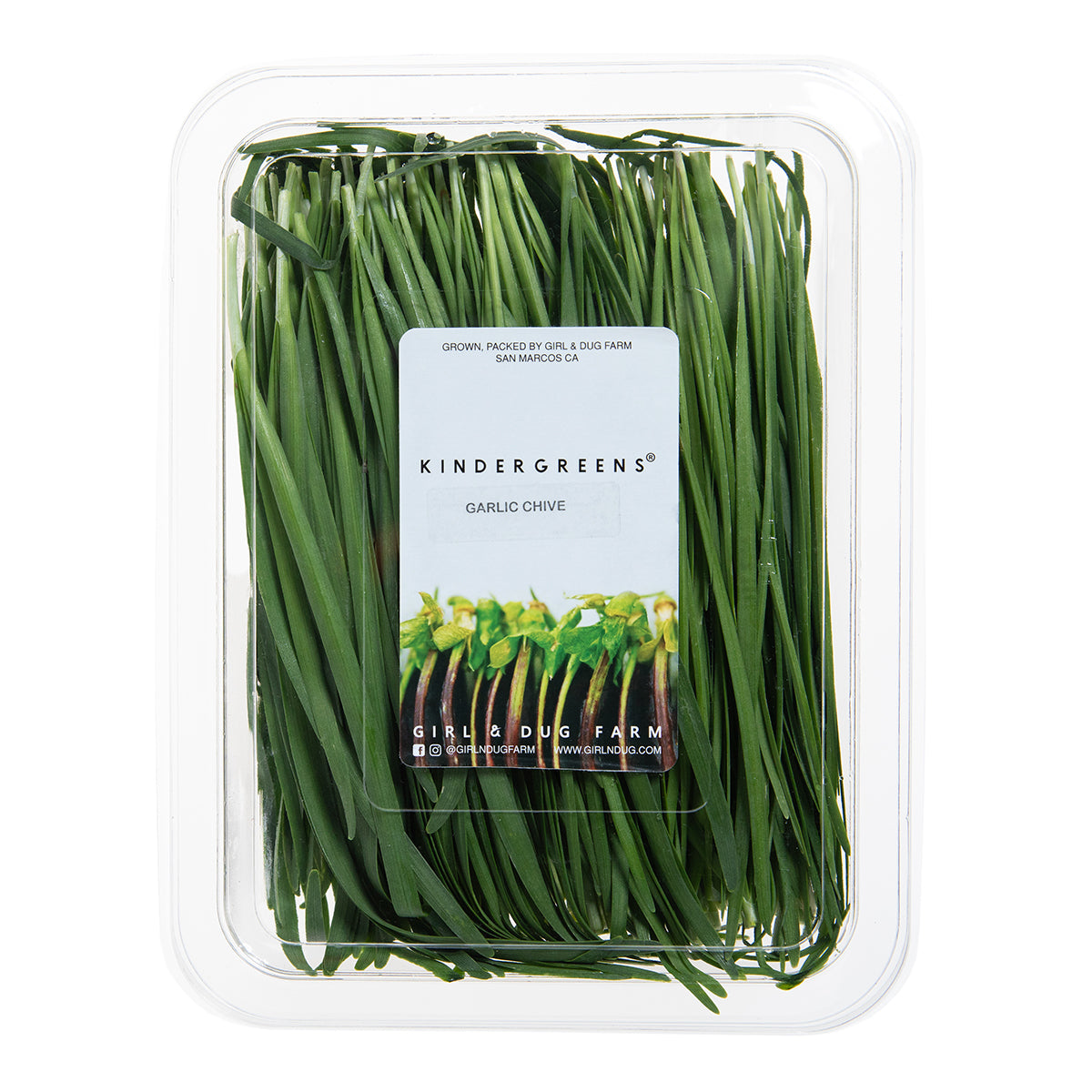 Garlic Chives