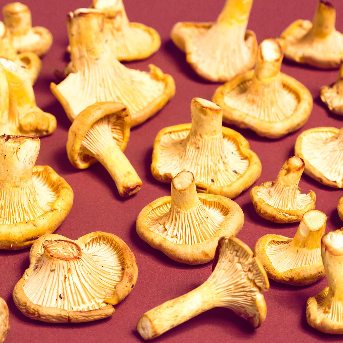 Chanterelle Mushrooms