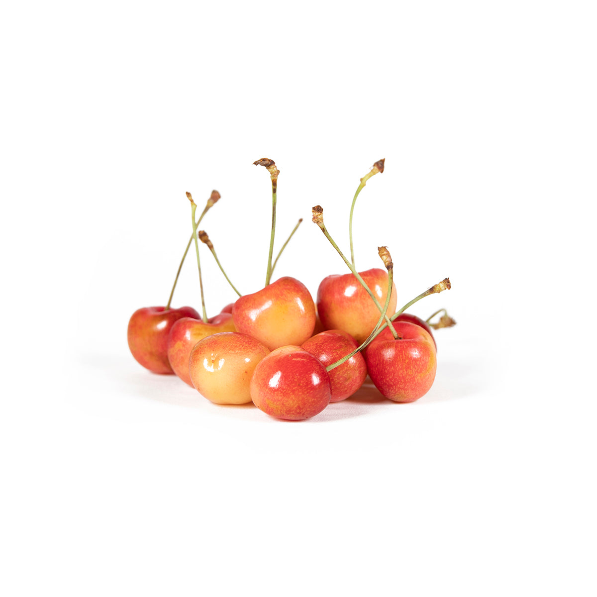 Skylar Rae Cherries