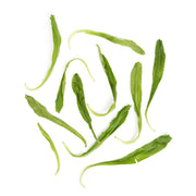 Saw Tooth Cilantro / Culantro