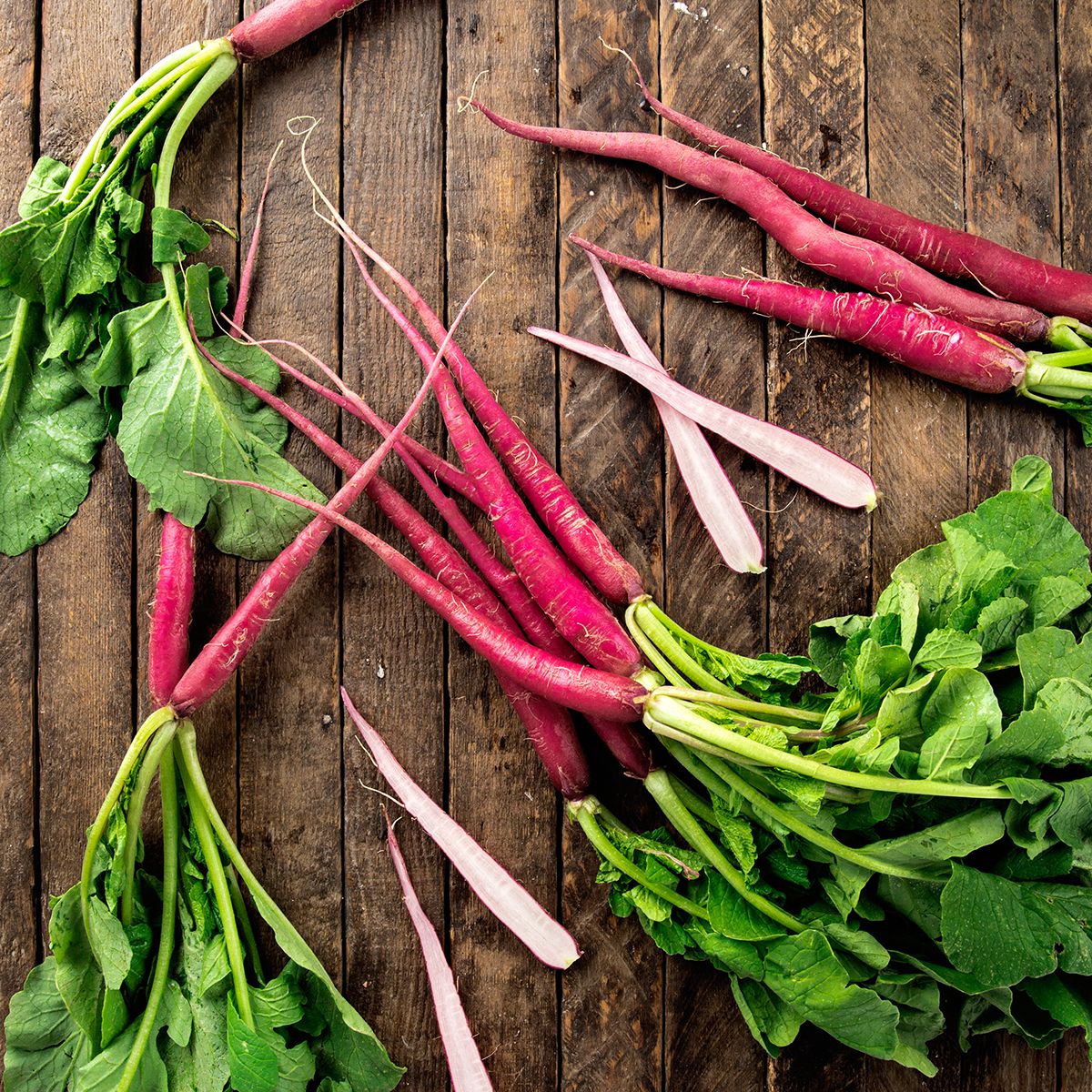 Cincinnati Radishes