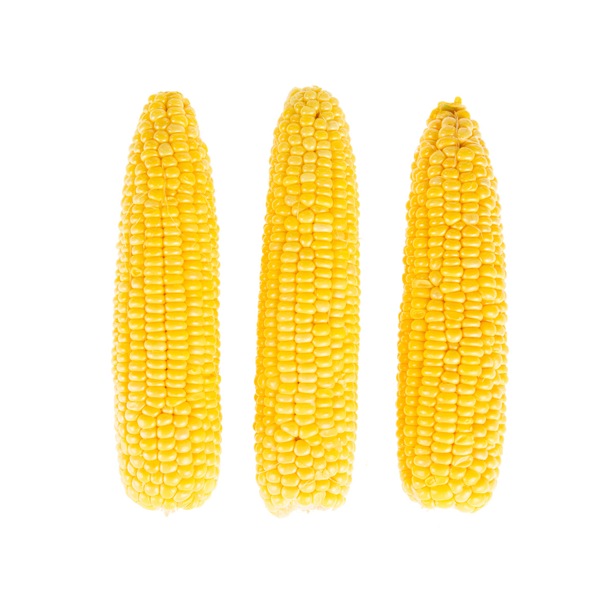 Cleaned and Husked Yellow Corn