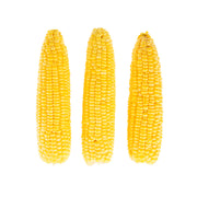 Cleaned and Husked Yellow Corn