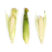 White Corn