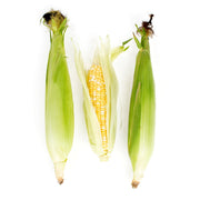 Bi-Color Corn