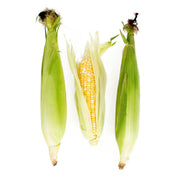 Bi-Color Corn